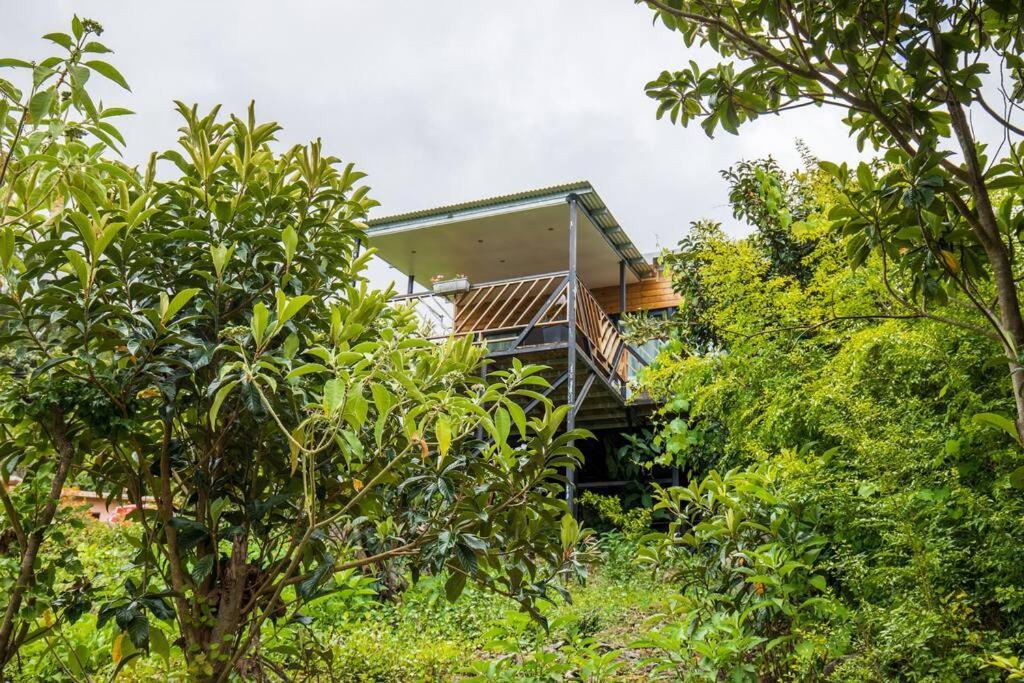 Villa Le Panorama à Cilaos Extérieur photo